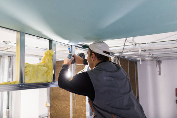 Best Insulation Installation Services in Waller, TX